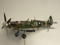 Eduard 1/48 Spitfire Mk. VIII RAAF - Aussie Eight