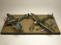 Eduard 1/48 Spitfire Mk. VIII RAAF - Aussie Eight