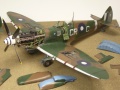 Eduard 1/48 Spitfire Mk. VIII RAAF - Aussie Eight