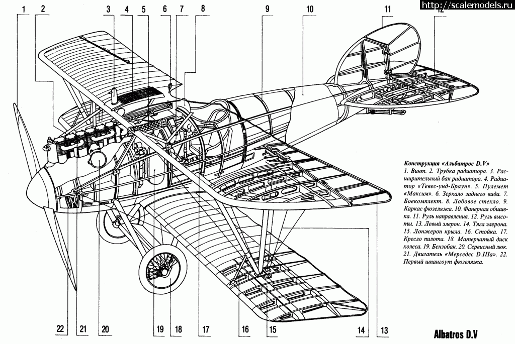1483358765_albd5-2.gif : Albatros D.V, Otto Kissenberth - Revell - 1/48 -   