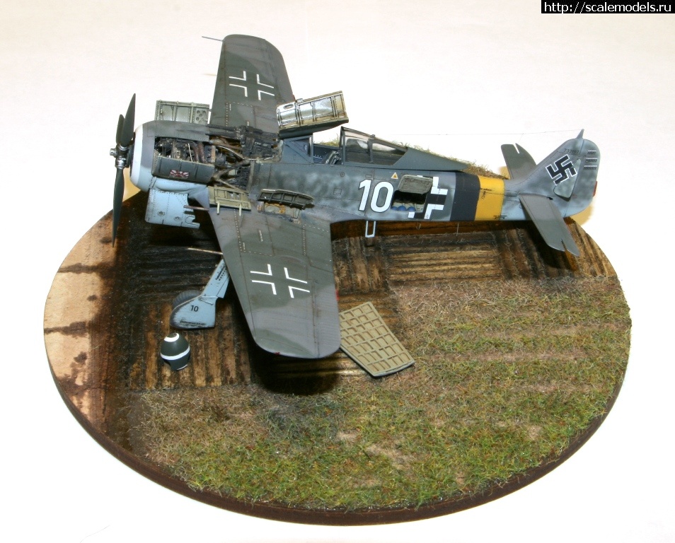 1483384102_IMG_5165.jpg : #1328869/ FW-190 A-8, Eduard, 1/72 ()  