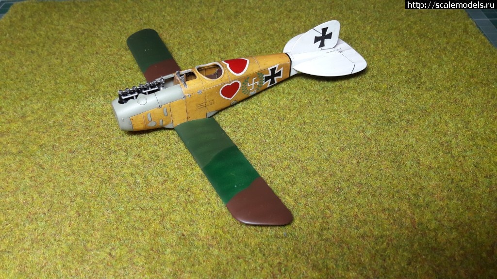 1483986181_20170109_153944.jpg : #1331295/ Albatros D.III 1/48 Eduard -   - !  