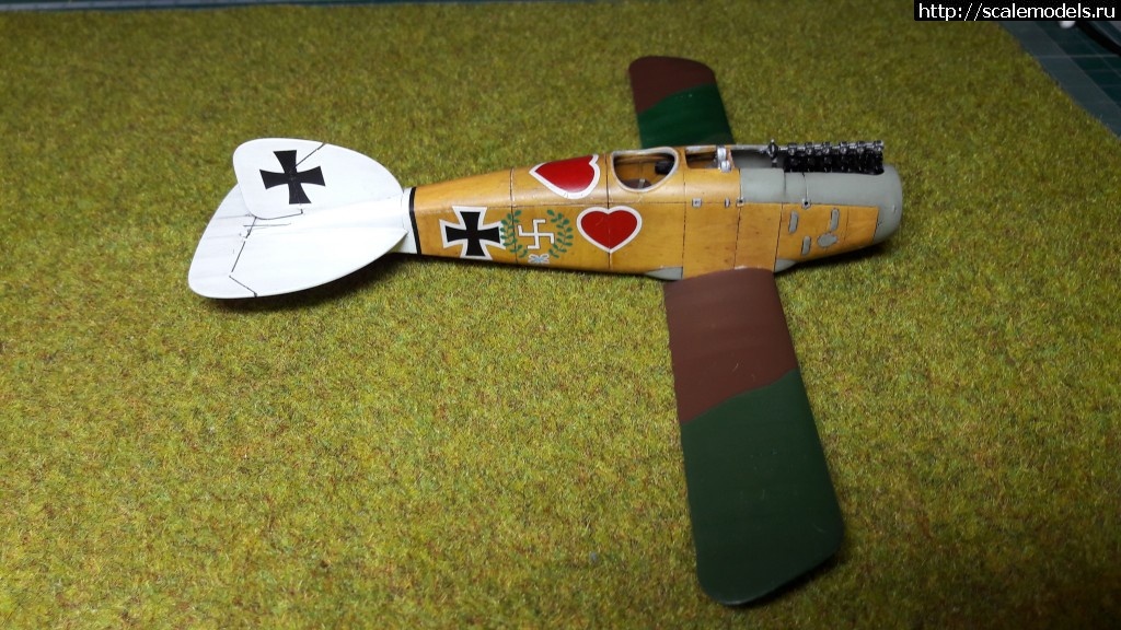 1483986416_20170109_154022.jpg : #1331295/ Albatros D.III 1/48 Eduard -   - !  