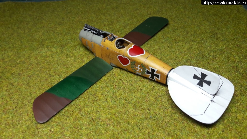 1483986470_20170109_154303.jpg : #1331295/ Albatros D.III 1/48 Eduard -   - !  