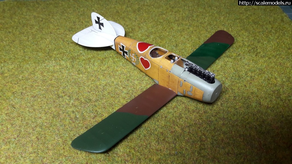 1483986517_20170109_154014.jpg : #1331295/ Albatros D.III 1/48 Eduard -   - !  