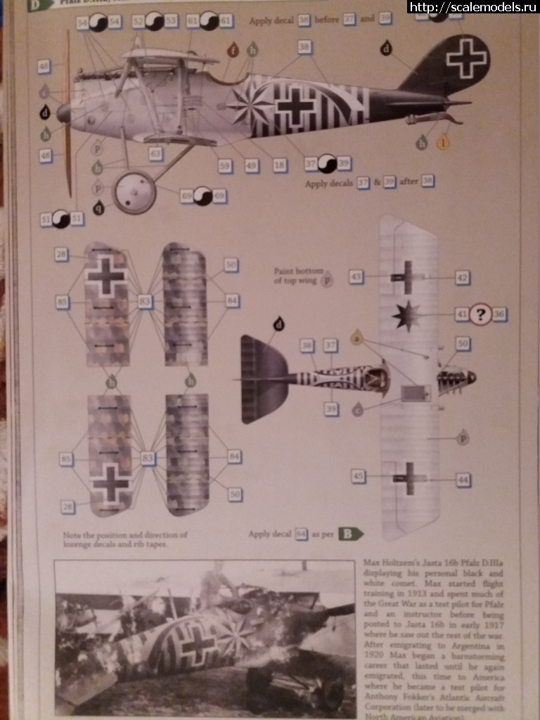 1484027716_20170108_212345.jpg : Pfalz D.3 A  1/32 "Wingnat Wings"  