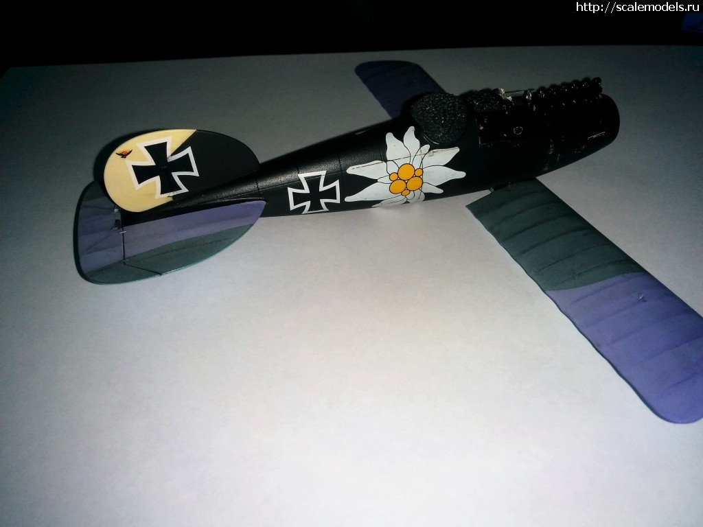 1485552923_IMG_20170128_002828.jpg : #1338665/ Albatros D.V, Otto Kissenberth - Revell - 1/48 -   