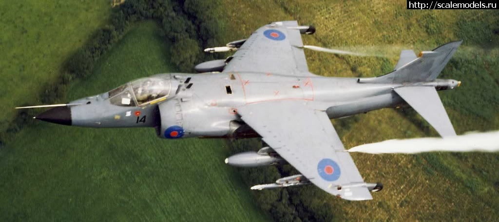 1485718527_1476598324_58Ea.jpg : #1339282/  Sea Harrier FRS.1  