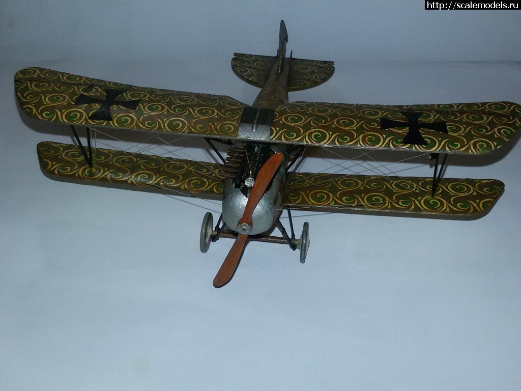 1485886394_20170131_191205.jpg : #1340167/ Albatros D. III Oeffag 253 Eduard 1/48   