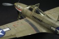 Eduard 1/48 P-39N Airacobra