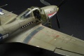 Eduard 1/48 P-39N Airacobra