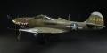 Eduard 1/48 P-39N Airacobra