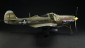 Eduard 1/48 P-39N Airacobra