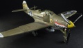 Eduard 1/48 P-39N Airacobra