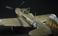 Eduard 1/48 P-39N Airacobra