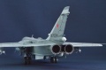 Trumpeter 1/48 -24