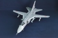 Trumpeter 1/48 -24