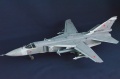 Trumpeter 1/48 -24