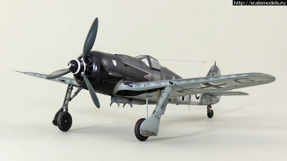 1485896736_FW190-A8-R2-039.jpg : FW-1908R2   1/72-  