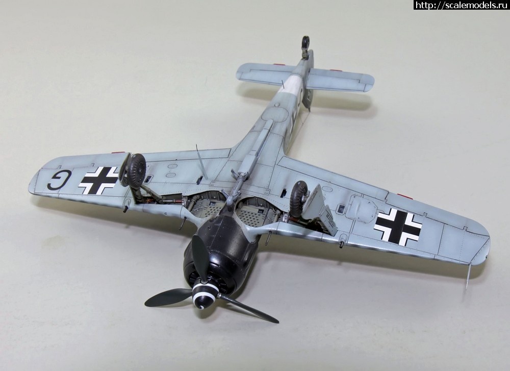 1485896738_FW190-A8-R2-045.jpg : FW-1908R2   1/72-  