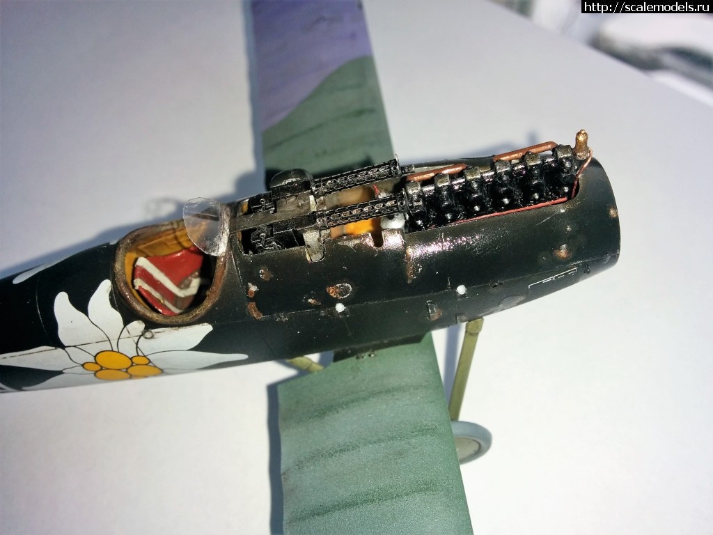 1486288085_IMG_20170205_121749.jpg : #1342070/ Albatros D.V, Otto Kissenberth - Revell - 1/48 -   