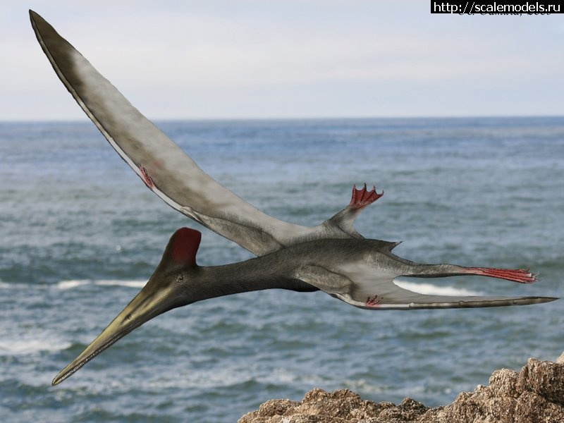 1486307561_1585_pterodactylus_nobu_tamura.jpg : #1342195/ AERO MB.200   1/72 -   