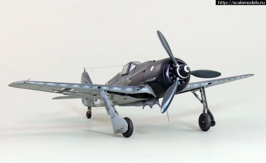 1486373067_1485896735_FW190-A8-R2-038.jpg :    .    1/72  