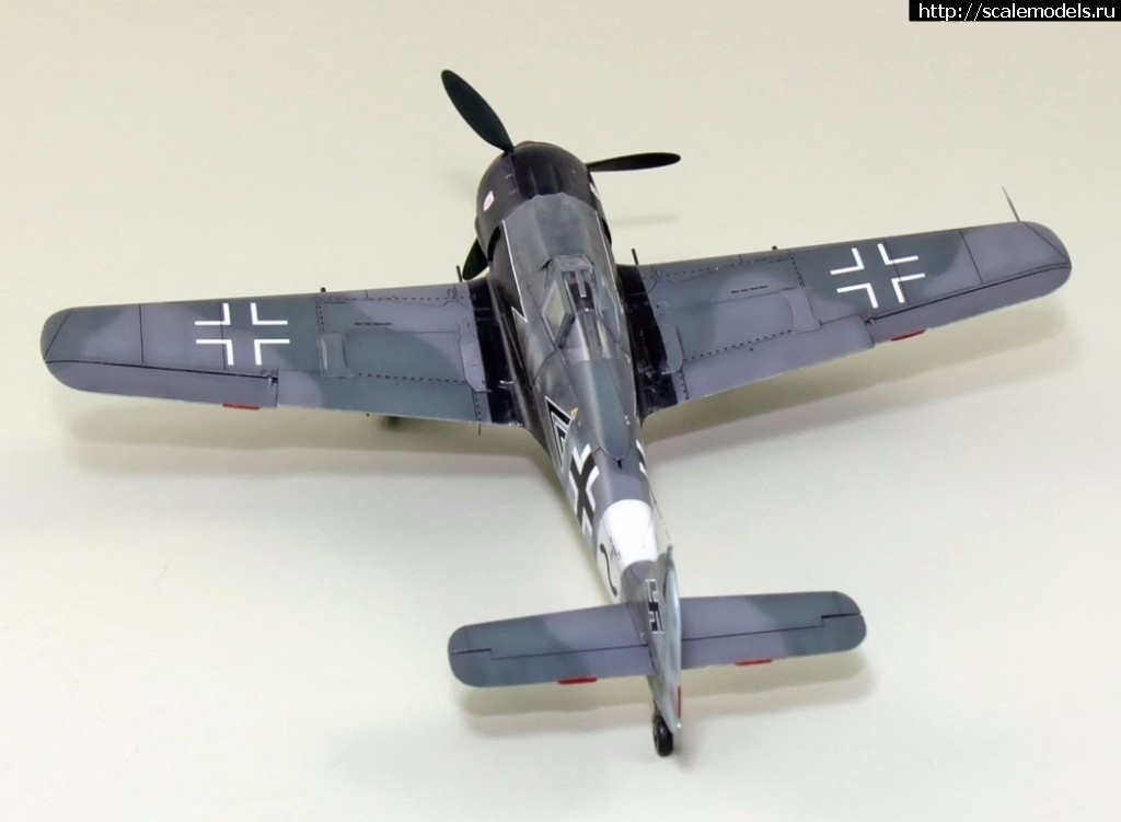 1486373069_1485896737_FW190-A8-R2-043.jpg :    .    1/72  