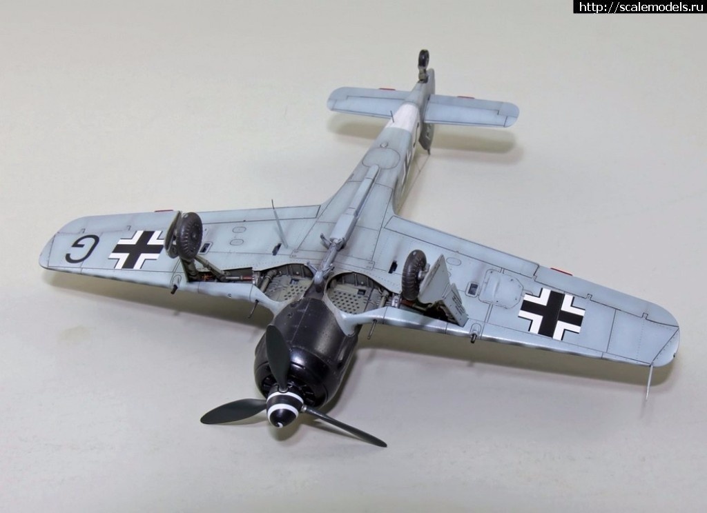 1486373070_1485896738_FW190-A8-R2-045.jpg :    .    1/72  