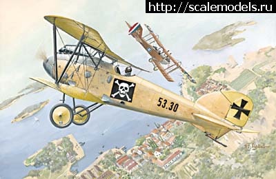 1486755758_022.jpg : #1344561/ Albatros D.III 153.80 Roden 1/72   