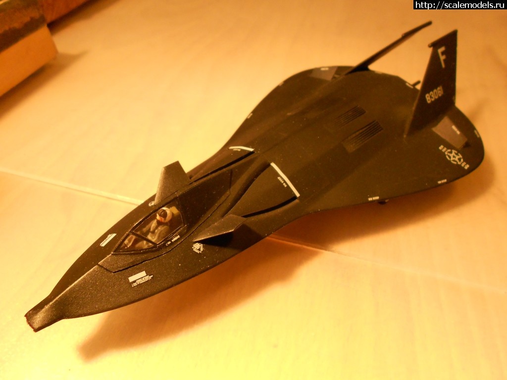 1487100371_DSCN2648.jpg : #1346163/ F-19 Revell 1/144   