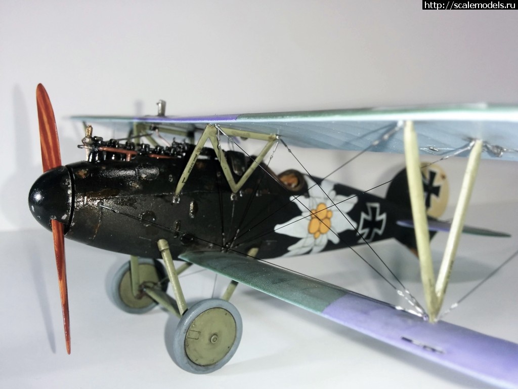 1487100656_IMG_20170214_210150.jpg : #1345829/ Albatros D.V, Otto Kissenberth - Revell - 1/48 -   