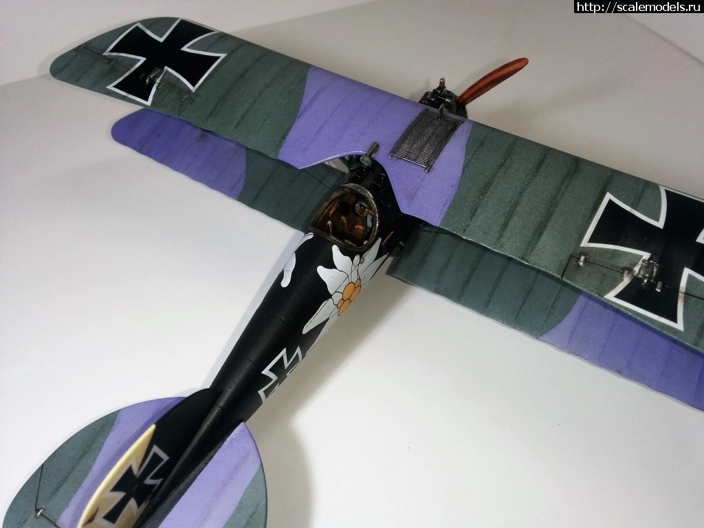 1487100663_IMG_20170214_210207.jpg : #1345829/ Albatros D.V, Otto Kissenberth - Revell - 1/48 -   