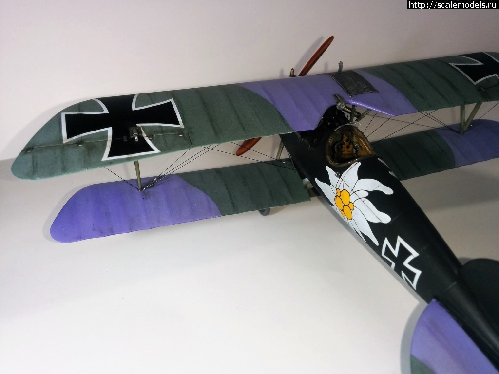 1487100667_IMG_20170214_210408.jpg : #1345829/ Albatros D.V, Otto Kissenberth - Revell - 1/48 -   