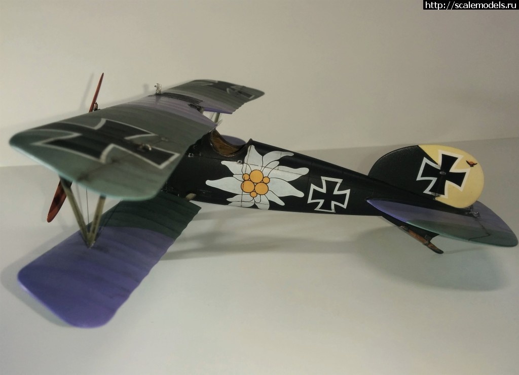 1487100677_IMG_20170214_210502.jpg : #1345829/ Albatros D.V, Otto Kissenberth - Revell - 1/48 -   