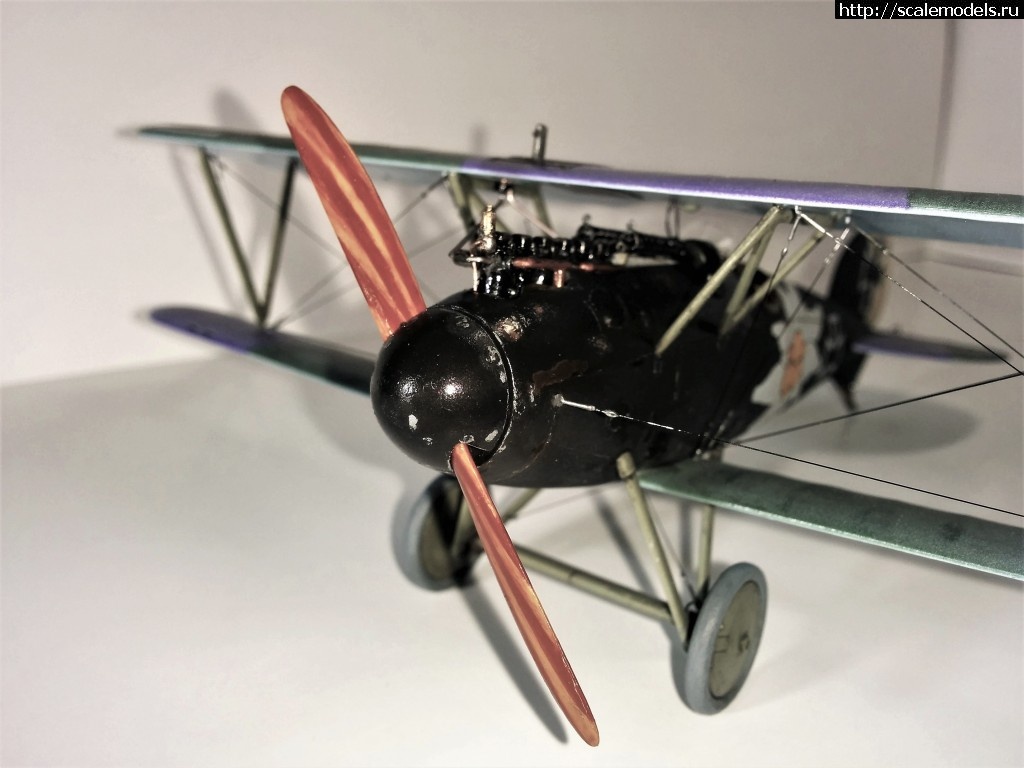 1487100683_IMG_20170214_210529.jpg : #1345829/ Albatros D.V, Otto Kissenberth - Revell - 1/48 -   