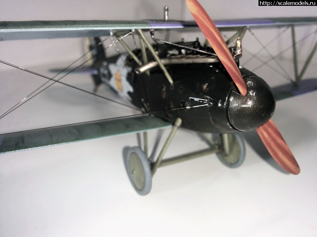 1487100688_IMG_20170214_210631.jpg : #1345829/ Albatros D.V, Otto Kissenberth - Revell - 1/48 -   