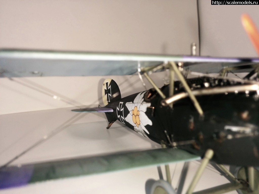 1487100697_IMG_20170214_210647.jpg : #1345829/ Albatros D.V, Otto Kissenberth - Revell - 1/48 -   