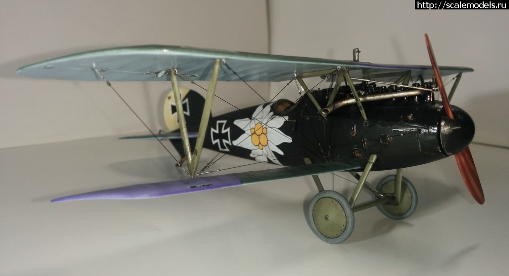 1487100702_IMG_20170214_210716.jpg : #1345829/ Albatros D.V, Otto Kissenberth - Revell - 1/48 -   