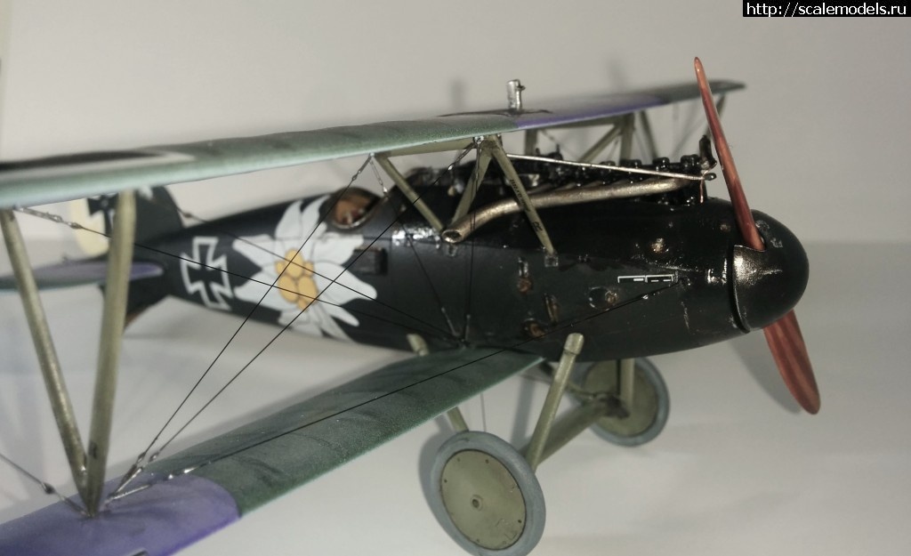 1487100705_IMG_20170214_210741.jpg : #1345829/ Albatros D.V, Otto Kissenberth - Revell - 1/48 -   