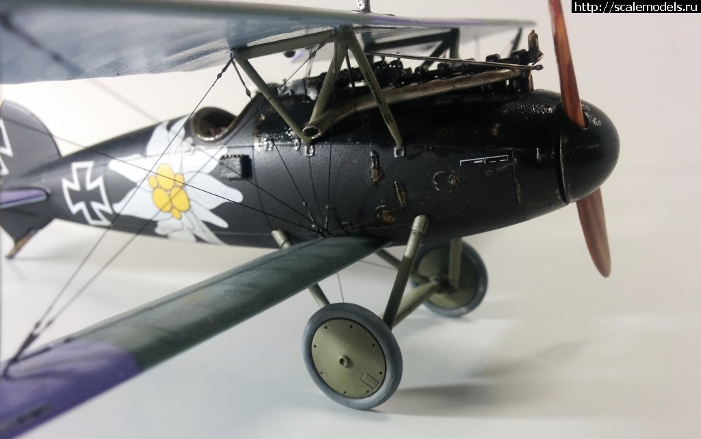 1487100708_IMG_20170214_210754.jpg : #1345829/ Albatros D.V, Otto Kissenberth - Revell - 1/48 -   