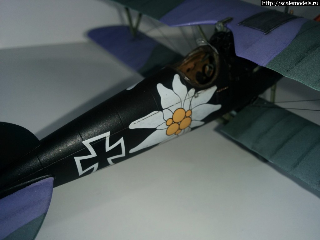 1487100710_IMG_20170214_210809.jpg : #1345829/ Albatros D.V, Otto Kissenberth - Revell - 1/48 -   