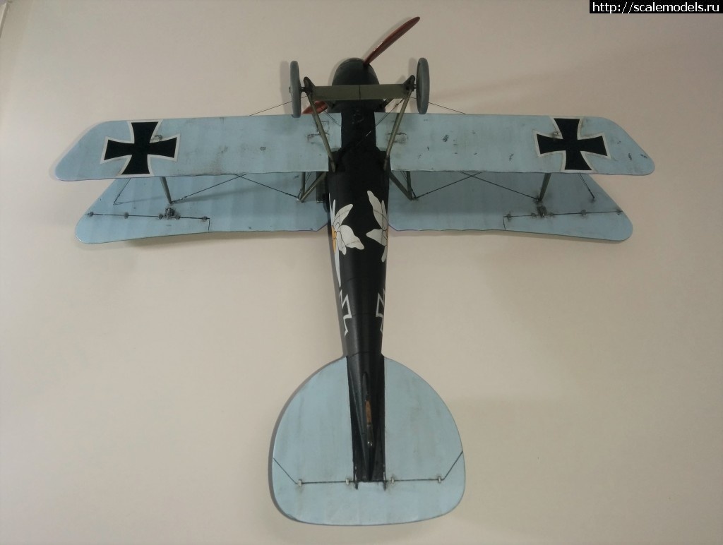 1487100725_IMG_20170214_210928.jpg : #1345829/ Albatros D.V, Otto Kissenberth - Revell - 1/48 -   