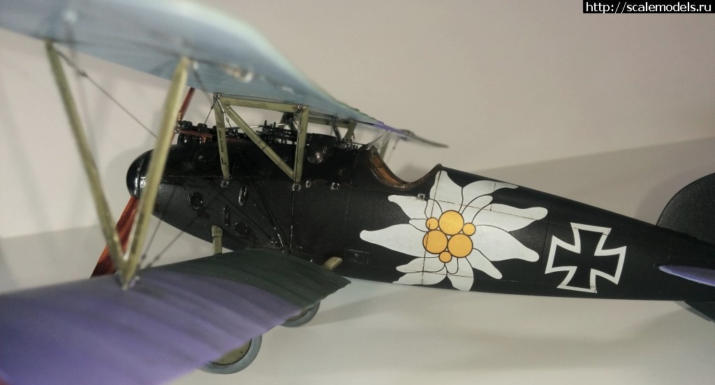 1487100743_IMG_20170214_211100.jpg : #1345829/ Albatros D.V, Otto Kissenberth - Revell - 1/48 -   