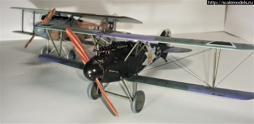 1487100745_IMG_20170214_211420.jpg : #1345829/ Albatros D.V, Otto Kissenberth - Revell - 1/48 -   