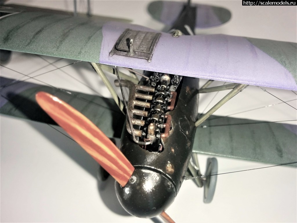 1487100748_IMG_20170214_211434.jpg : #1345829/ Albatros D.V, Otto Kissenberth - Revell - 1/48 -   