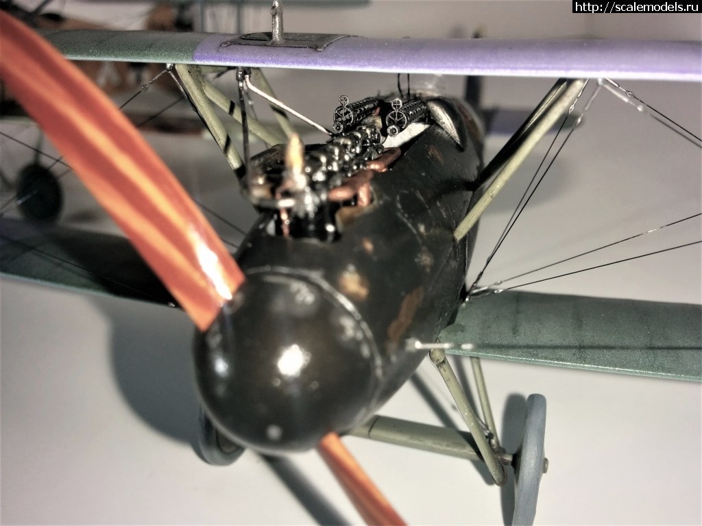 1487100750_IMG_20170214_211444.jpg : #1345829/ Albatros D.V, Otto Kissenberth - Revell - 1/48 -   