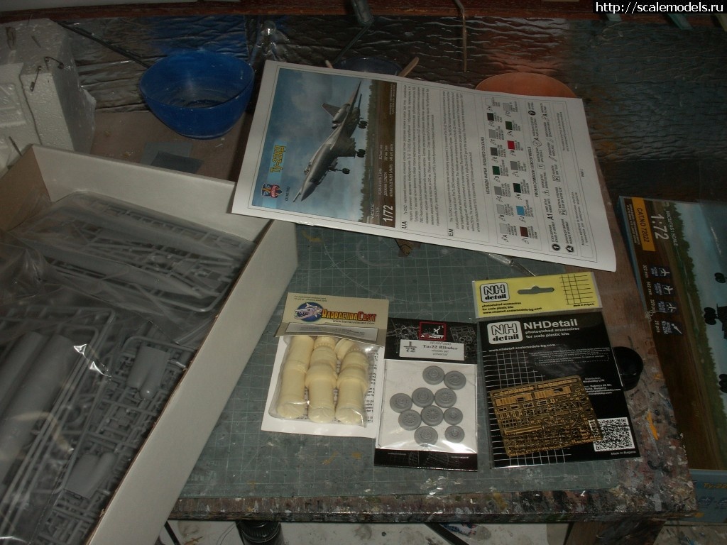 1487286435_PICT1083.JPG : 1/72 ModelSvit -22  