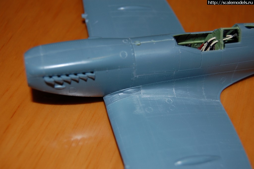 1487364853_DSC_1109.jpg : #1347173/ Eduard Spitfire Mk. IX ROYAL CLASS (Skif85/Leon81)  