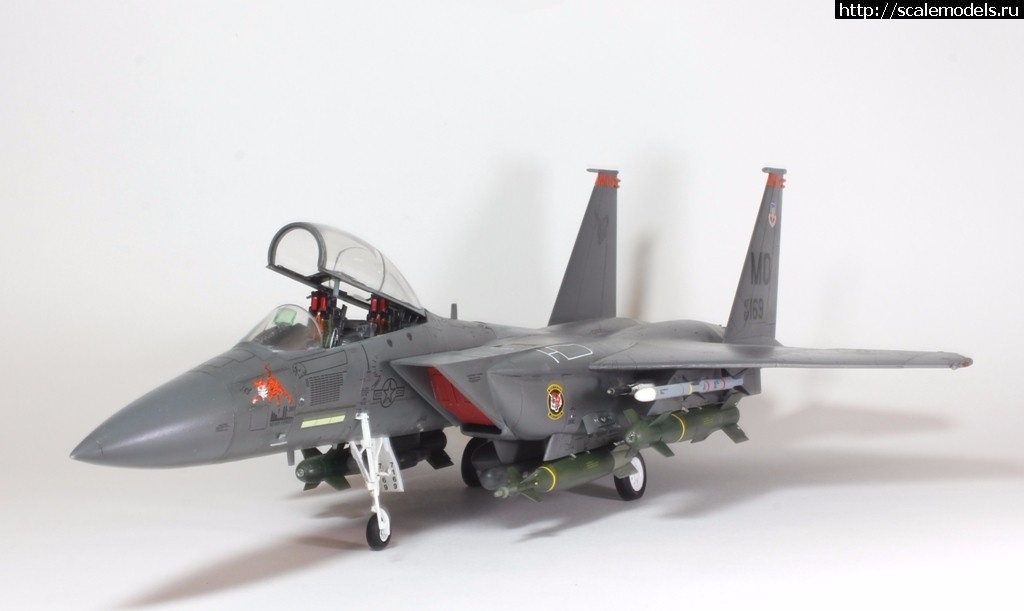 1487707229_IMG_8713.JPG : #1349405/ Revell 1/48 F-15E Strike Eagle(#10778) -   